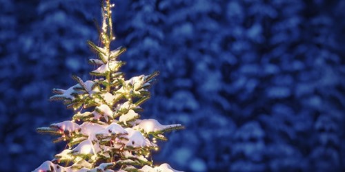 Joyeux Noël et Bonne Année !